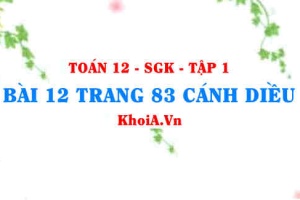 Bài 12 trang 83 Toán 12 tập 1 Cánh Diều